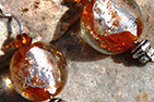 Amber Silver Leaf Murano Glass Ball and Rock Quartz Sterling Silver Earrings