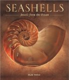 Seashells: Jewels from the Ocean